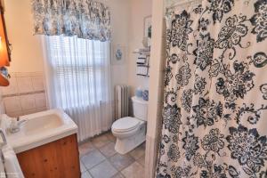 a bathroom with a toilet and a shower curtain at Lizard Creek Inn in Andreas
