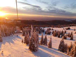 a ski slope with trees in the snow at sunset at Lola apartman Residence Hill in Kopaonik
