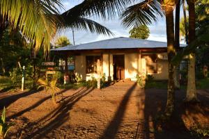 Gallery image of Casa turtle Bogue in Tortuguero