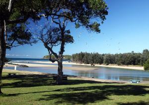 a park with a tree and a sandy beach at Two 46 Brodie in Coffs Harbour