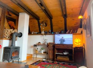 a living room with a fireplace and a television at Cabin Rujište in Padežina
