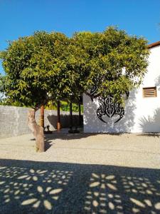 drzewo przed białym budynkiem ze ścianą w obiekcie Recanto do Meu Bem w mieście Jijoca de Jericoacoara