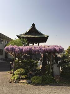 Gallery image of 松本はなれ in Matsumoto