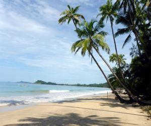 a beach with palm trees and the ocean at Oliver`s Laguna ECO Lodge Hotel in Ngapali