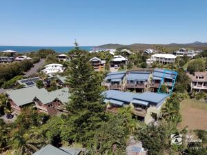 an aerial view of a town with houses and a tree at Angourie Blue 1 - Great Ocean Views - Surfing beaches in Yamba