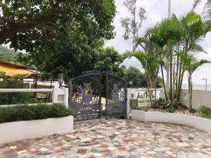 Κήπος έξω από το Bellagio Pets Friendly Resort