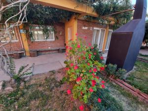 una casa con un arbusto de flores rojas delante de ella en Maryfer en Las Grutas