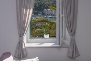 a window with curtains and a view of a plant at Apartment Lungo Mare, Centar in Makarska