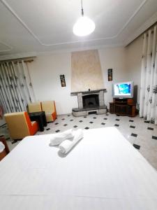 a living room with a bed and a fireplace at Vila 57 HOTEL in Tirana