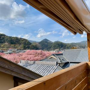 山景或在度假屋看到的山景
