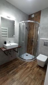 ein Badezimmer mit Dusche, Waschbecken und Toilette in der Unterkunft Pensjonat Orle Gniazdo in Jelenia Góra
