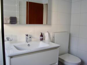 Kylpyhuone majoituspaikassa Casa Almis, Grindelwald