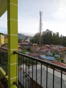 山景或在民宿看到的山景