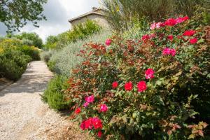 A garden outside Casa Minotti Relais