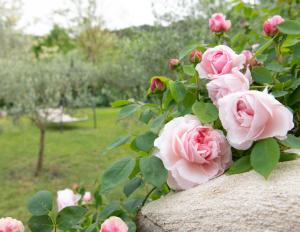 A garden outside Casa Minotti Relais