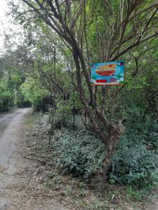 圣安东尼奥Monty's Riverside View Resort的相册照片