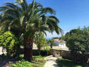 a palm tree in a yard next to a fence at Villa Cube in Premantura