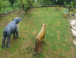 Imagen de la galería de Kokan Safari, Chiveli, en Bhom