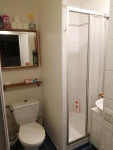 La salle de bains est pourvue d'une douche et de toilettes blanches. dans l'établissement GINGER, à Cancale