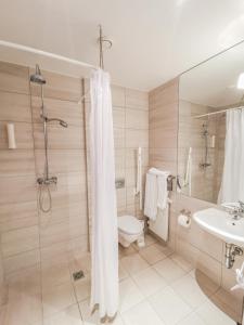 a bathroom with a shower, toilet and sink at Fosshotel Husavik in Húsavík