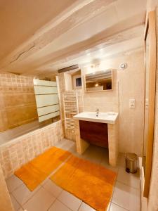 a bathroom with a sink and a shower at Le Lavoir aux Roses by Gîtes Sud Touraine in Chédigny