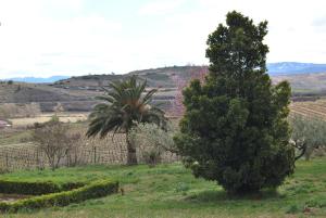 two trees in a field next to a vineyard at Casa Pichon Etxea in La puebla de Labarca 