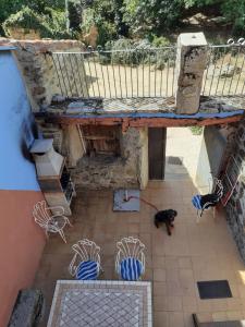 Domácí mazlíčci ubytovaní s hosty v ubytování Al Patio