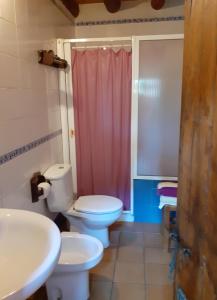 baño con aseo y cortina de ducha rosa en Al Patio, en Los Loros