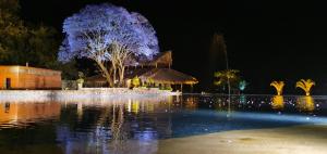 a night view of a resort with a tree with purple lights at Nimue Marina Residence in Ajijic