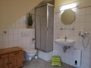 a bathroom with a shower and a toilet and a sink at Hotel und Appartements Jägerhof Rügen in Lancken-Granitz