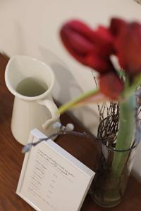 Boutique Apartments Freiburg - Eva في فريبورغ ام بريسغاو: مزهرية بها زهرة حمراء وفنجان قهوة +صورتان