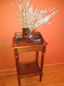 a pair of boots sitting on a table with a plant at Masia d'en Valentí in Anserall