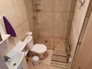 a bathroom with a toilet and a sink and a shower at Maluno Vilos in Palanga +12 photos
