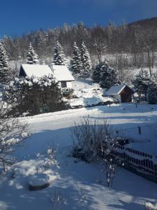 pokryty śniegiem dziedziniec z domem i drzewami w obiekcie Apartament w Milówce w Milówce