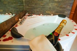 Fotografie z fotogalerie ubytování Premier Prezident Garni Hotel and Spa v destinaci Sremski Karlovci
