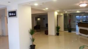 een lobby met potplanten in een gebouw bij Dort Mevsim Suit Hotel in Canakkale