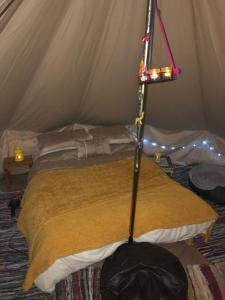 Omaha Meadows Glamping