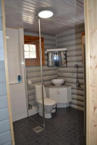 a bathroom with a toilet and a sink at Hallanpoika mökki in Hyrynsalmi