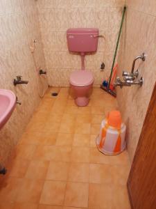 a bathroom with a pink toilet and a sink at Green house in Tiruvannāmalai
