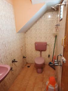 bagno con servizi igienici rosa e lavandino di Green house a Tiruvannāmalai