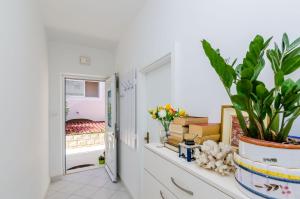 ein weißer Flur mit einer Pflanze auf einer Kommode in der Unterkunft Guesthouse Matusic in Dubrovnik
