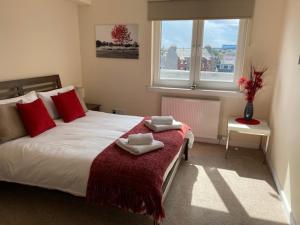 um quarto com uma cama grande com almofadas vermelhas e uma janela em AB11 Apartments - Portland Street em Aberdeen