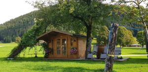 a small cabin in a field with a tree at Sattlehnerhof in Ramsau am Dachstein