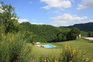 un jardín con piscina en medio de un campo en Agriturismo Sacchiafarm, en Borgo Pace