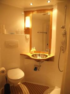 uma casa de banho com um lavatório e um WC em Hôtel Garni Villa Carmen em La Neuveville