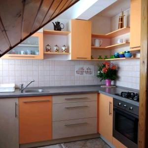 Gallery image of Apartment Petra in Mrkopalj
