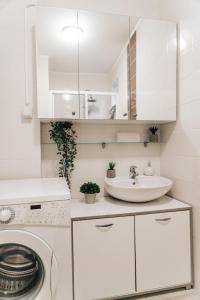 una cucina bianca con lavandino e lavatrice di Bambino apartment a Novi Sad