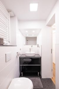 a bathroom with a sink, toilet and bathtub at Elisabeth Apartments in Marburg an der Lahn