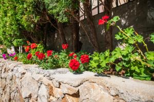 un jardín con flores rojas en una pared de piedra en Villa Mirjana, en Trogir