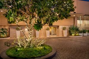 a tree in front of a building with lights at BloomSuites l Ahmedabad in Ahmedabad